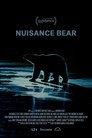 Nuisance Bear